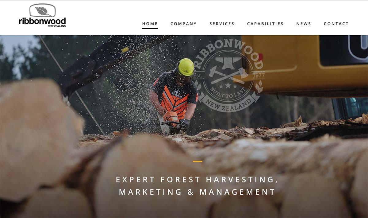 Advantages of having a great website design