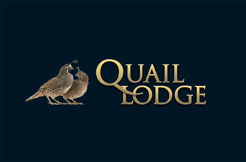 Quail Lodge branding and logo design NZ