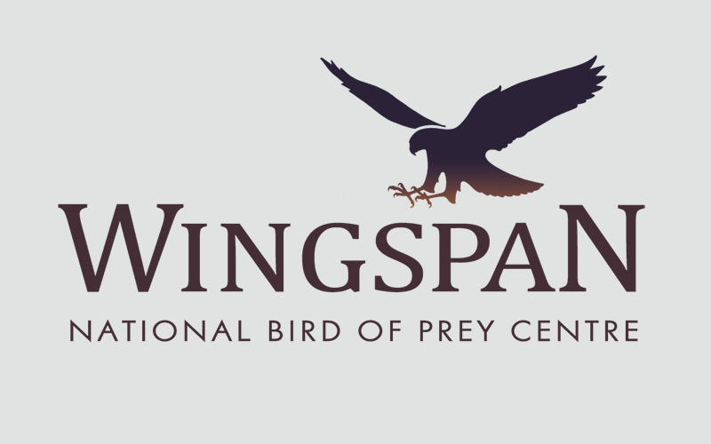 Wingspan Bird of Prey Centre branding / logo design