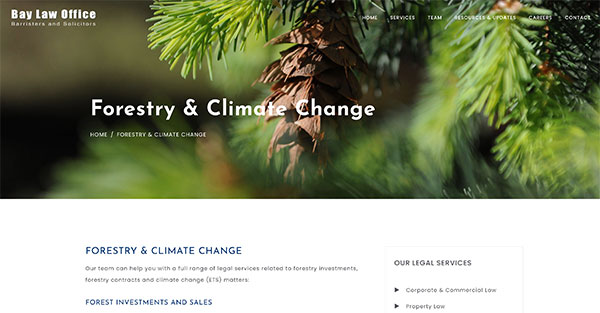 Web Design Auckland Bay Law Office Website