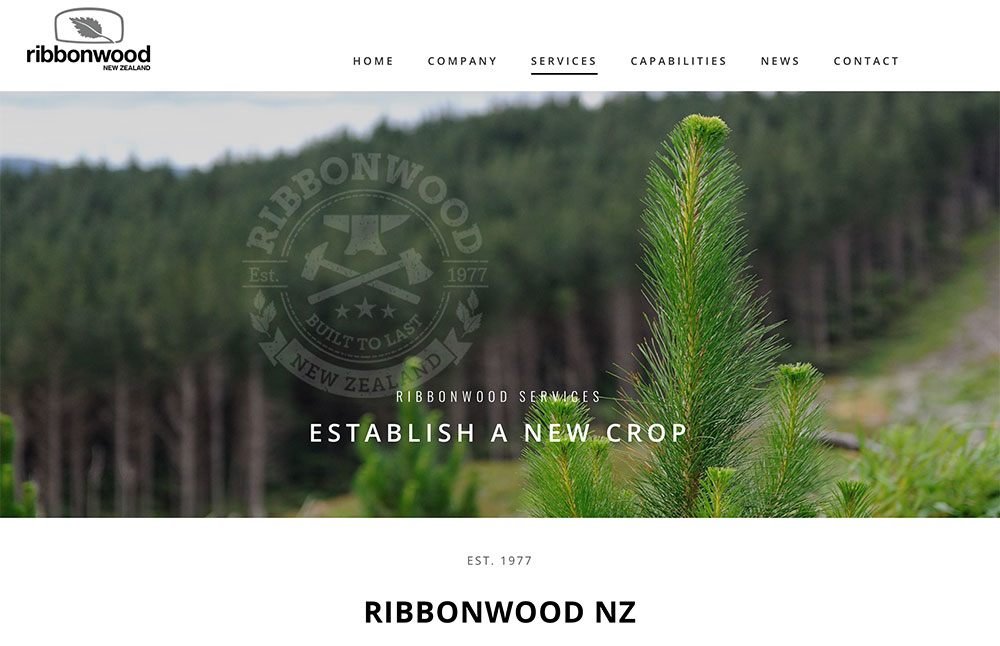 Forestry website design and photography Ribbonwood NZ