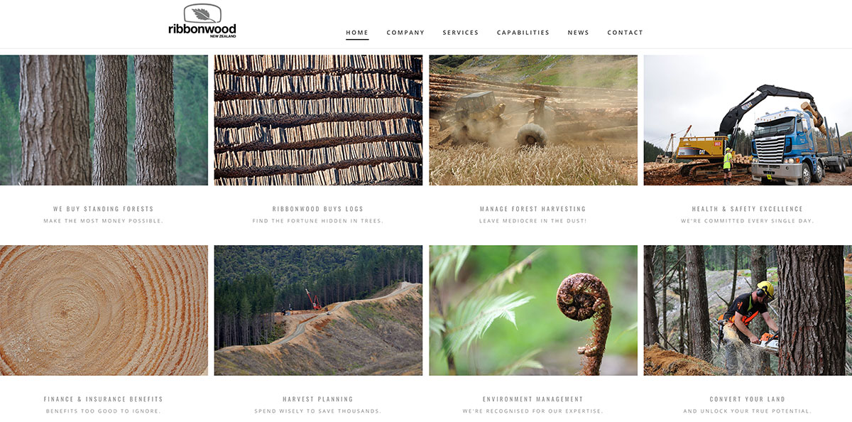 Forestry website design and photography Ribbonwood NZ
